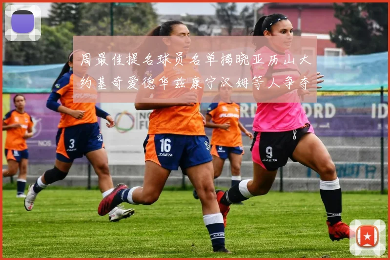 周最佳提名球员名单揭晓亚历山大约基奇爱德华兹康宁汉姆等人争夺荣誉