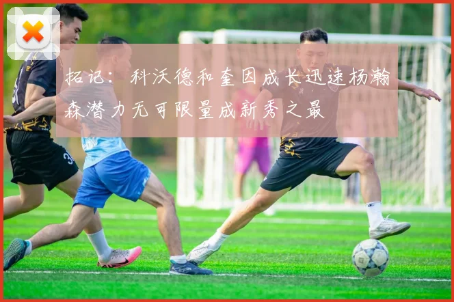 拓记：科沃德和奎因成长迅速杨瀚森潜力无可限量成新秀之最