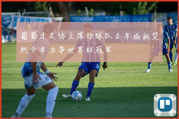 葡萄牙足协主席称球队去年成就斐然今年力争世界杯冠军
